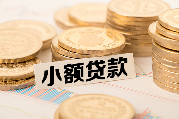 东莞上门小额贷款-东莞上门民间短期私借借款-东莞上门急需借钱可以找我